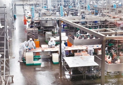 智慧工厂 技术开发驱动制造业转型升级的新引擎